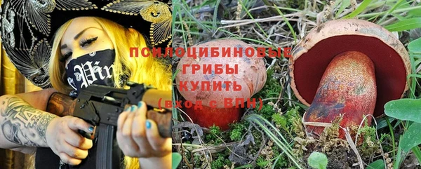 прущая мука Лабытнанги