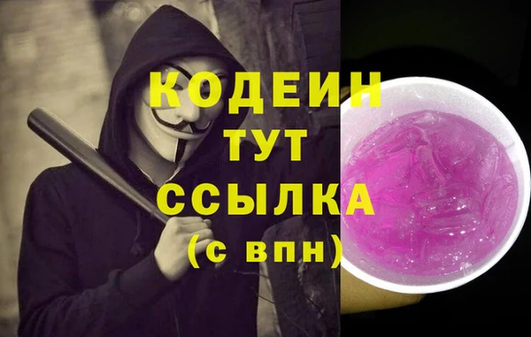 крисы Магас