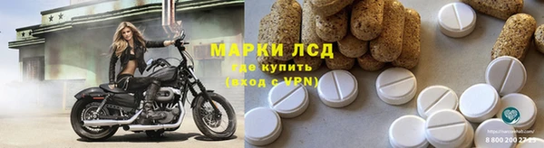 спайс Ладушкин