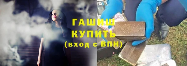 крисы Магас