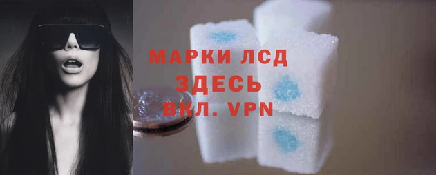 крисы Магас