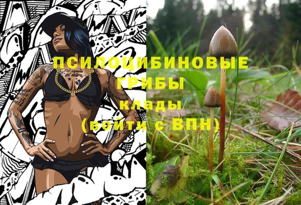 спайс Ладушкин