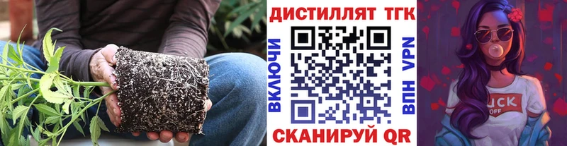 сколько стоит  Сокол  Дистиллят ТГК THC oil 