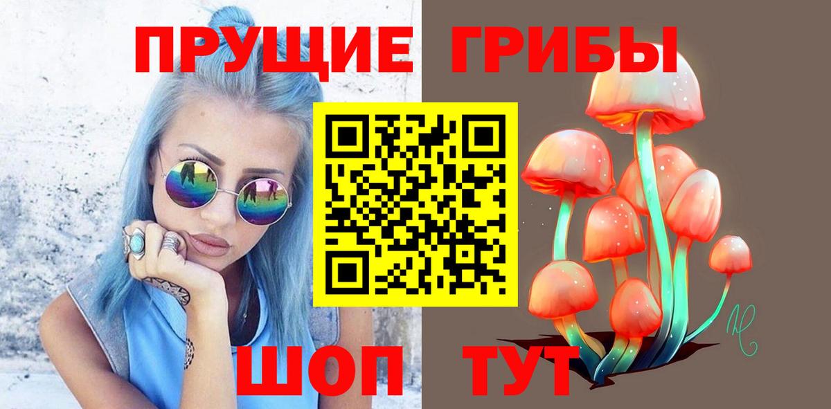 Псилоцибиновые грибы ЛСД  Псилоцибиновые грибы мицелий  Вход с VPN  Сокол 
